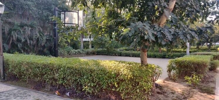 Garden, omaxe-new-chandigarh  300 Sq.Yd. Plot In North Mullanpur Chandigarh 9455443