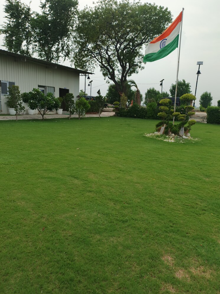 Garden, nagla kalan  300 Sq.Yd. Plot In Nagla Kalan Aligarh 9455474
