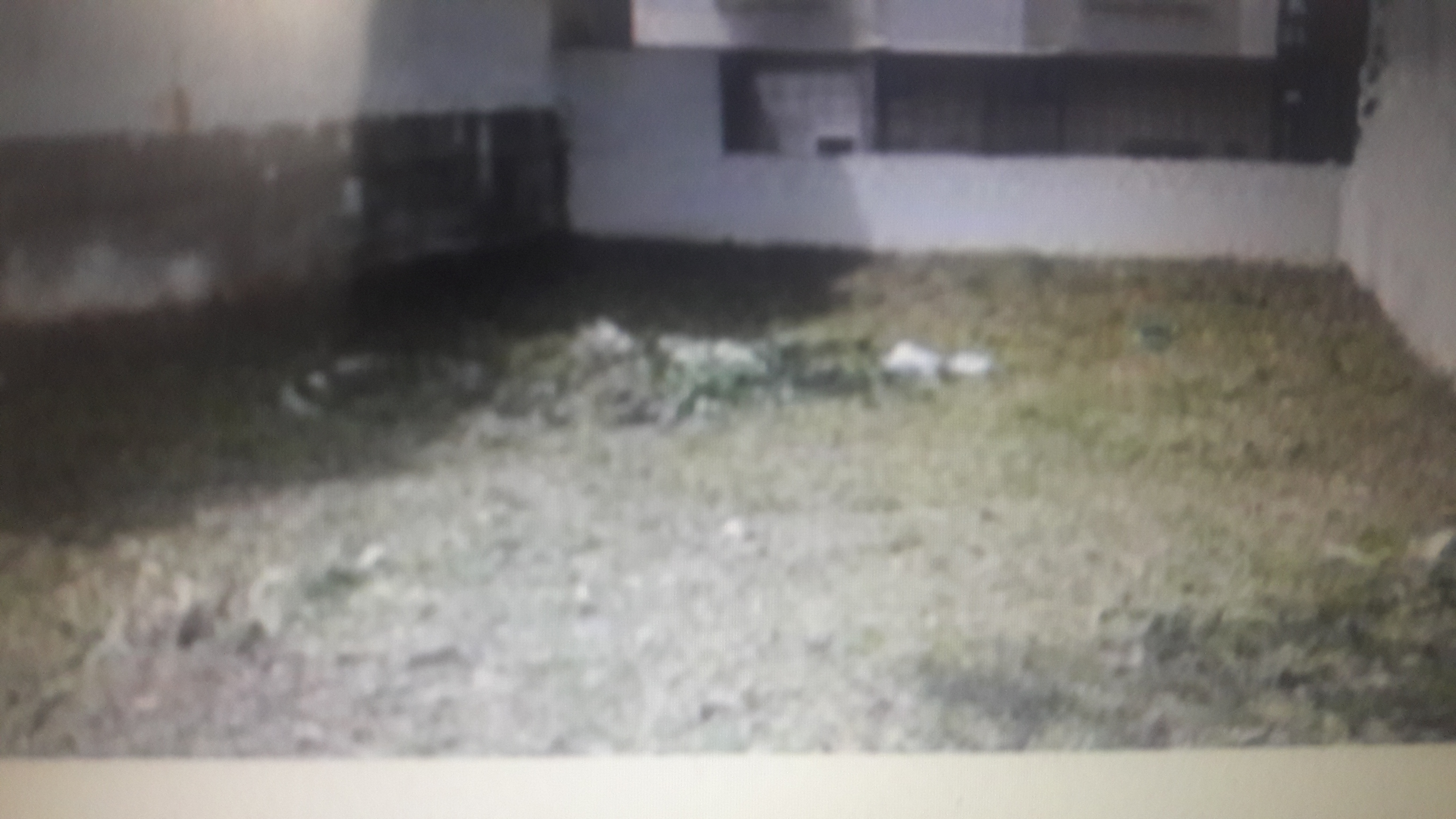 Plot For Sale in Cross Realtors