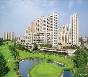 1 BHK 410 Sq.Ft. Apartment in Lodha Jasmine T