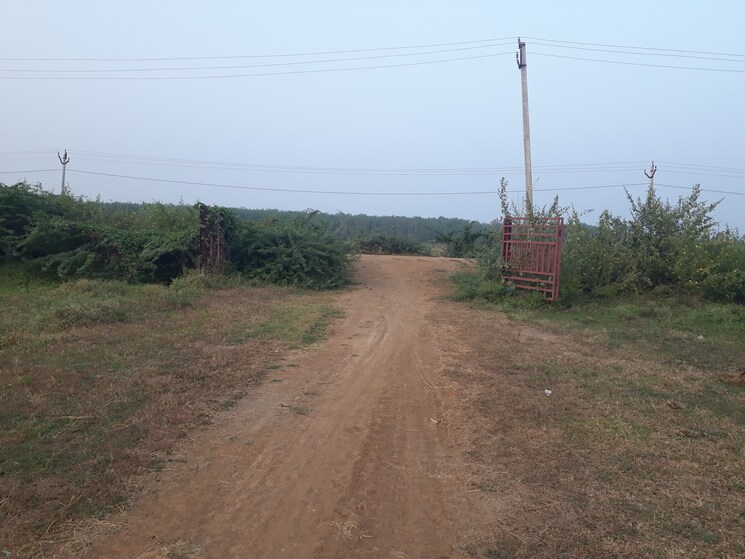 undefined, vijayawada one town  113 Sq.Yd. Plot In Vijayawada One Town Vijayawada 9456045