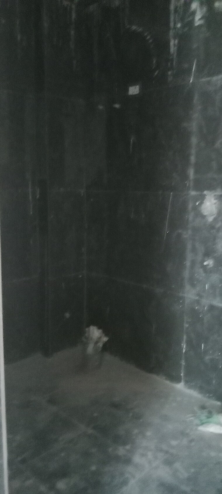 Bathroom, saket 1 Bedroom 500 Sq.Ft. Builder Floor In Saket Delhi 9456168