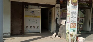 Floor Plan in  Shop at Motia Royal Estate, Lohgarh – for Sale