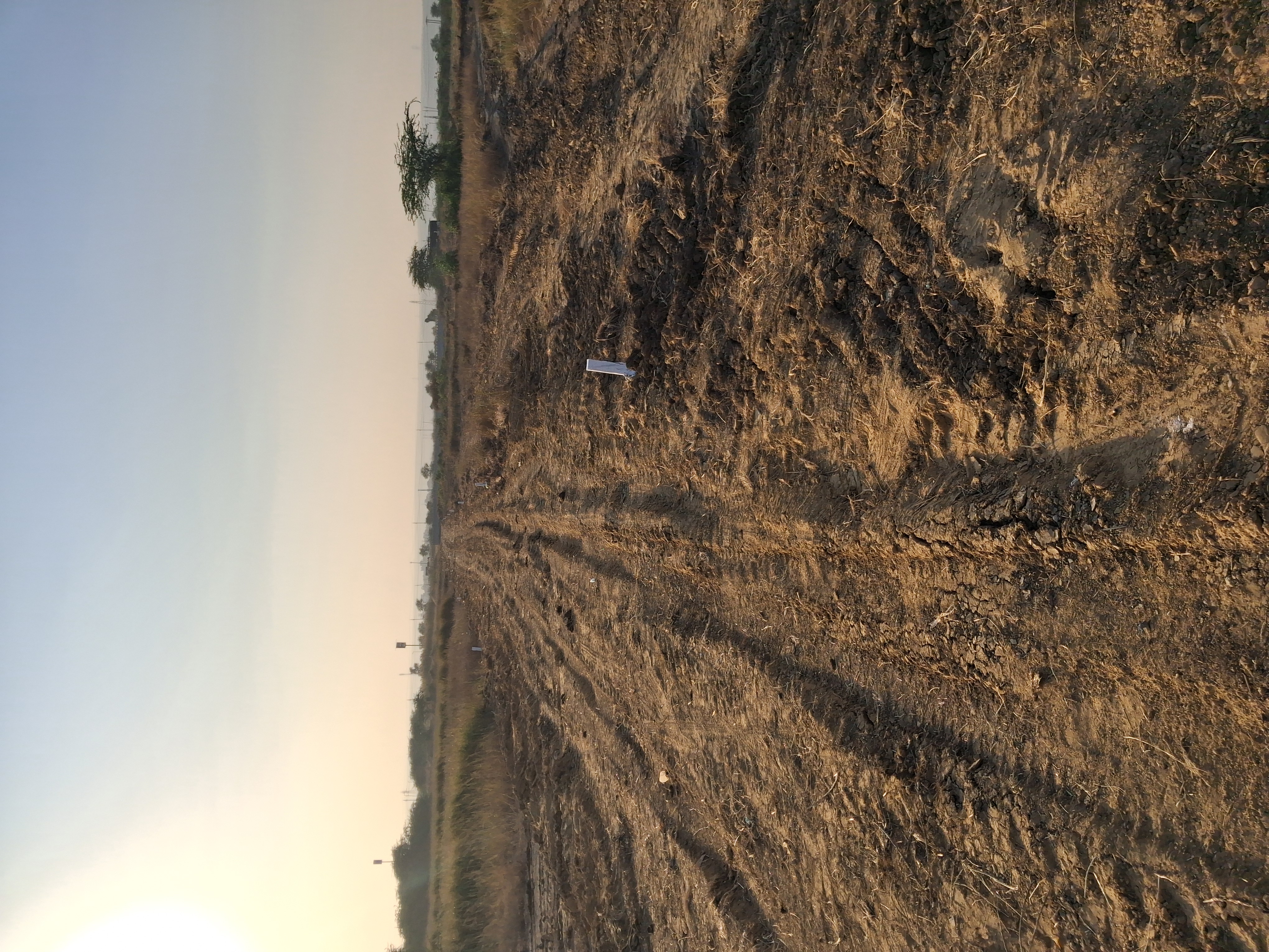 Plot For Sale in Signature Global Daxin Vistas