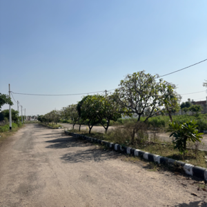 Plot Area in  Plot at Sitarampura – for Sale