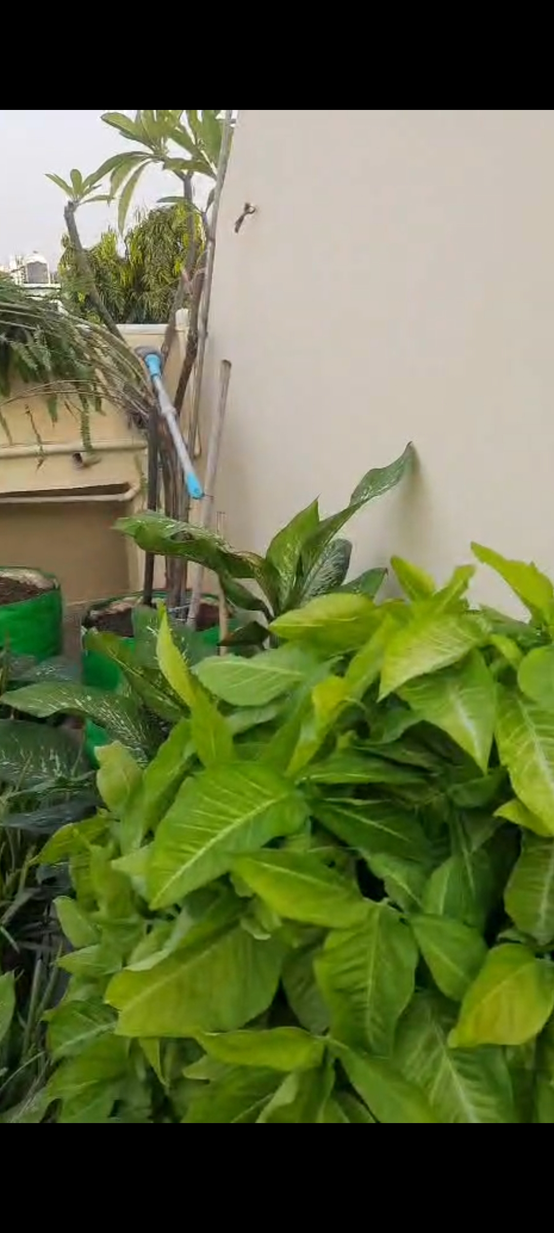 1 Rk+ Pooja Room Builder Floor For Rent in Lajpat Nagar 4