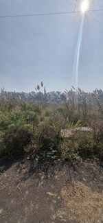 264 Sq.Yd. Plot in Sector-25