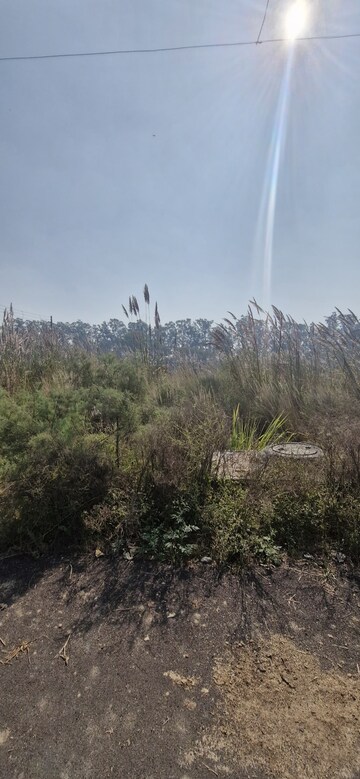  Plot For Sale in SectoR-25