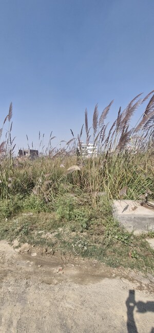 Plot Area in  Plot at SectoR-25 – for Sale