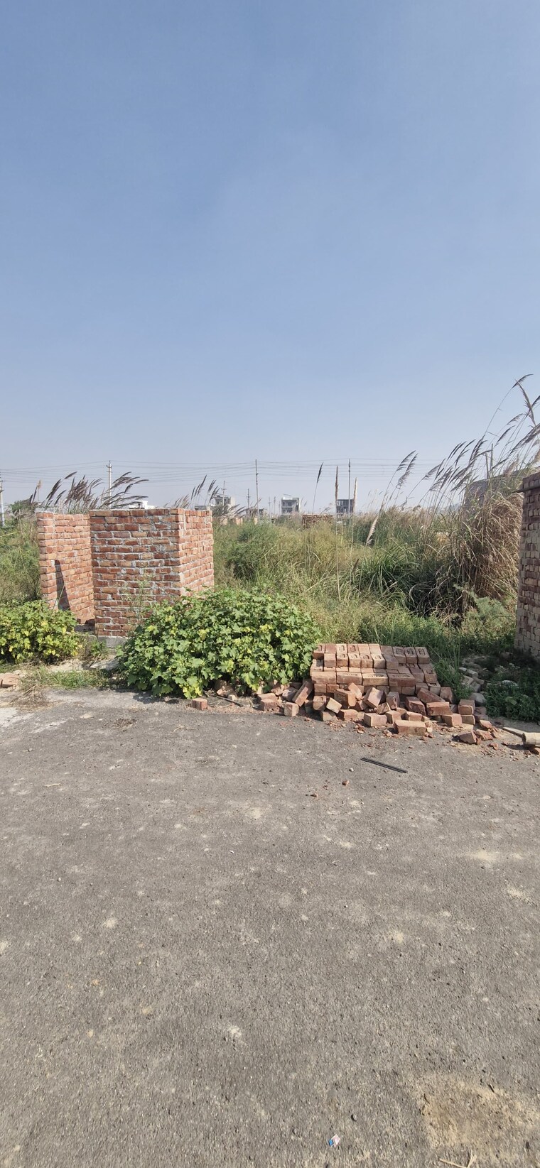 undefined, sector 25  264 Sq.Yd. Plot In SectoR 25 Rohtak 9458240