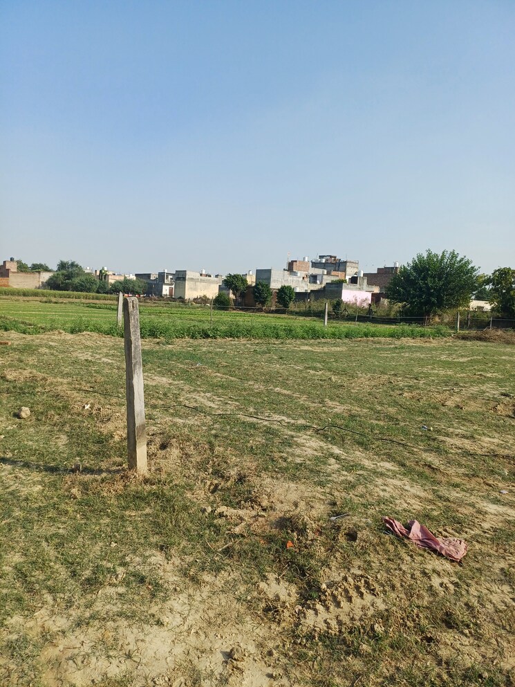 Garden, palla  85 Sq.Yd. Plot In Palla Faridabad 9458438