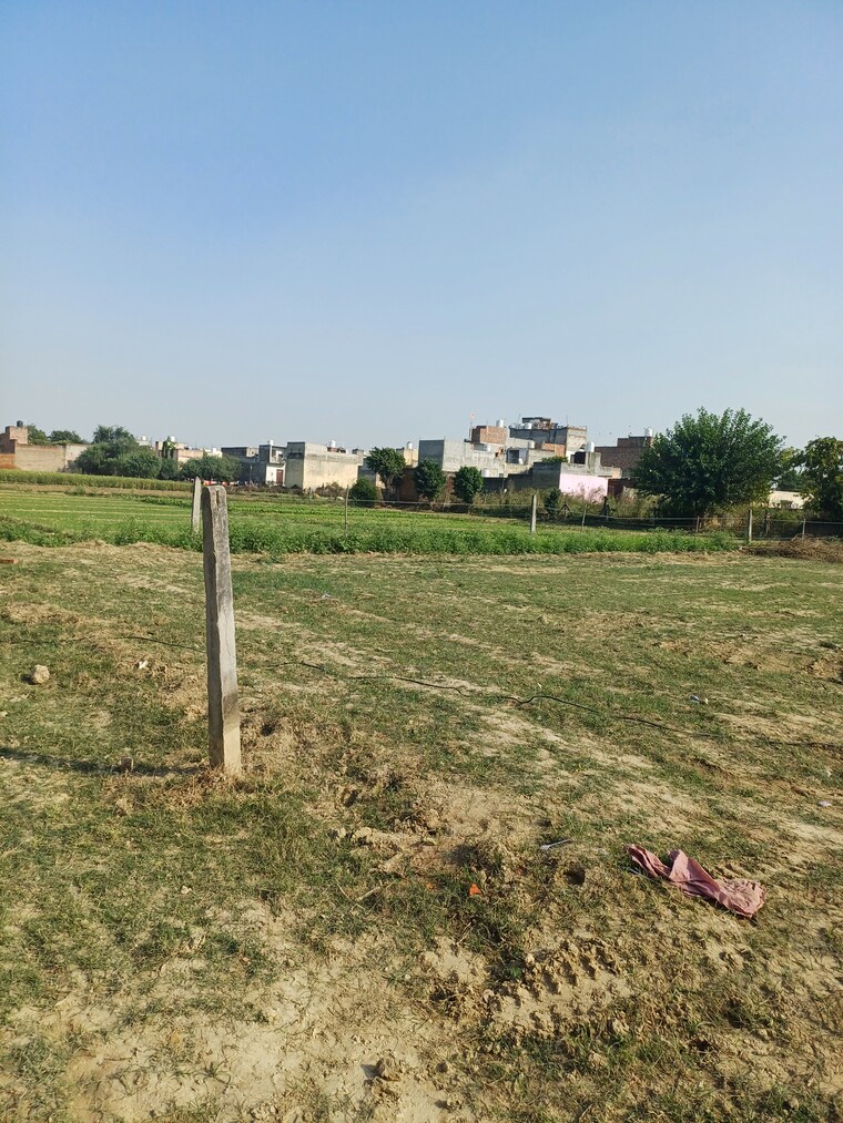 Garden, palla  85 Sq.Yd. Plot In Palla Faridabad 9458438
