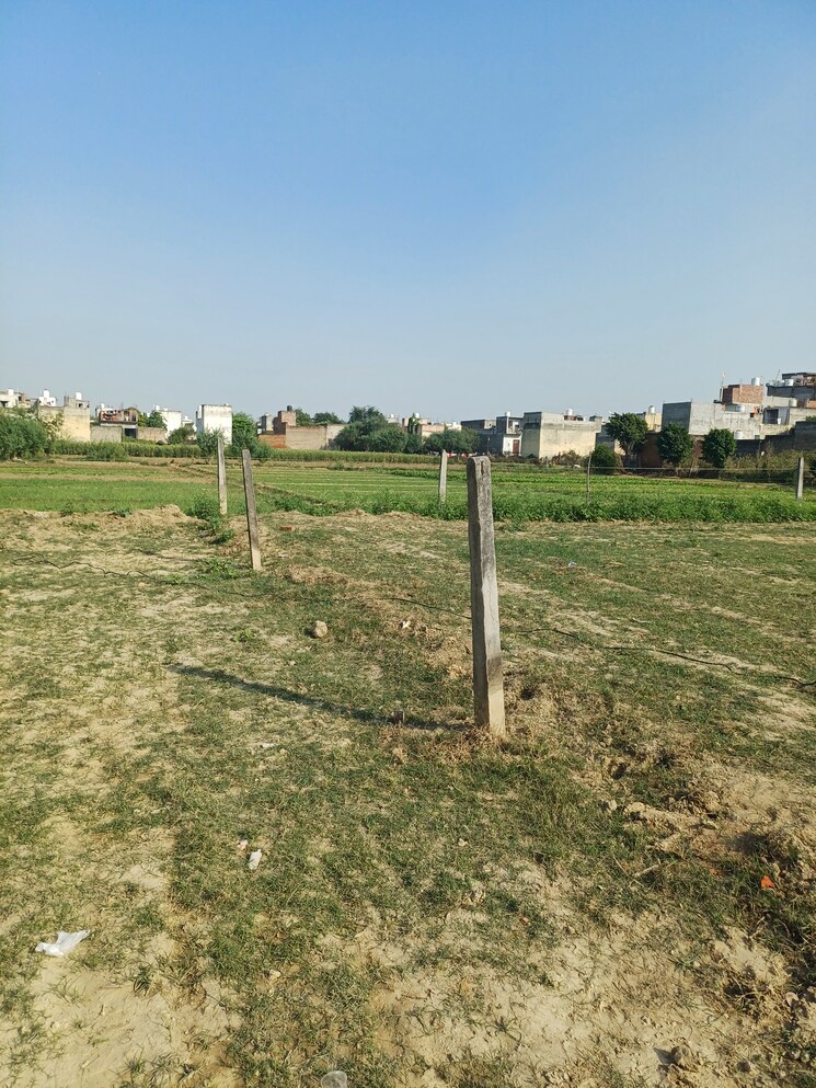 Garden, palla  85 Sq.Yd. Plot In Palla Faridabad 9458438