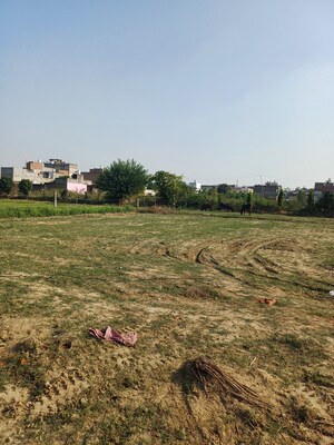  Plot For Sale in Palla