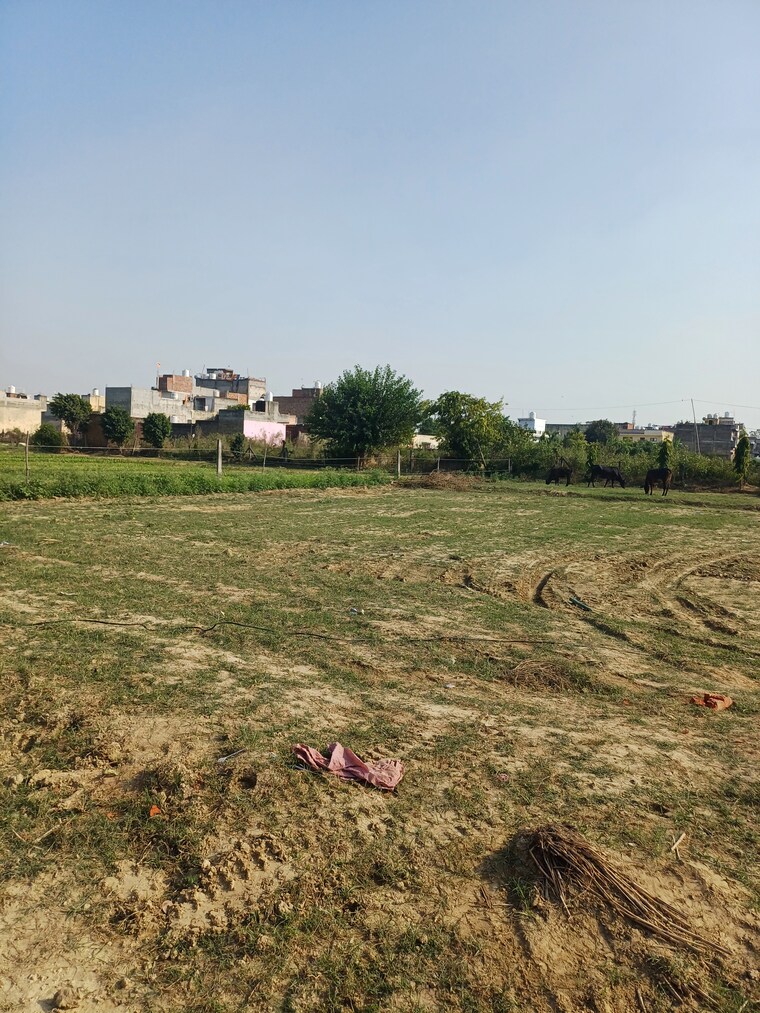 Garden, palla  86 Sq.Yd. Plot In Palla Faridabad 9458503