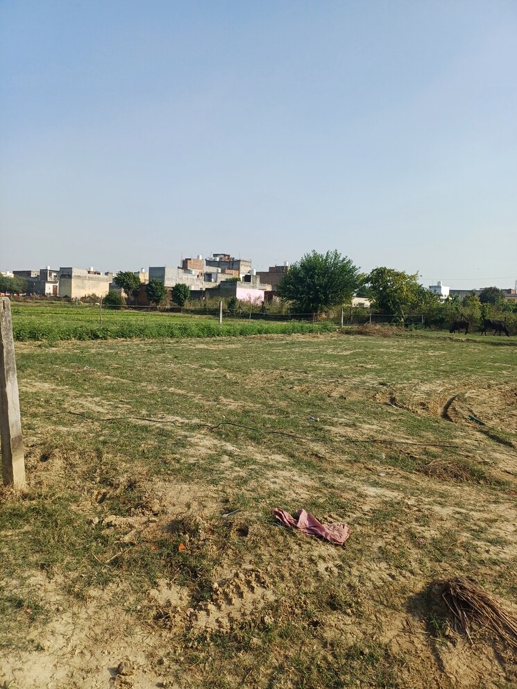 Garden, palla  86 Sq.Yd. Plot In Palla Faridabad 9458503