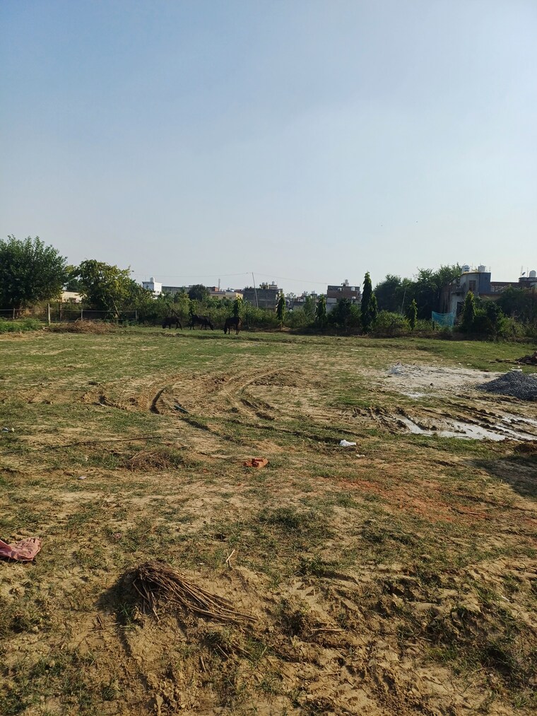 Garden, palla  87 Sq.Yd. Plot In Palla Faridabad 9458524