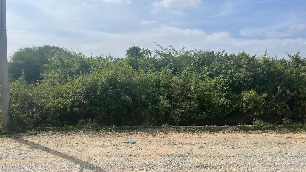 Plot For Sale in Nishchay