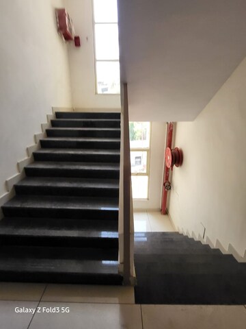 2 BHK Apartment For Rent in Hiranandani Astra, Ghodbunder Road