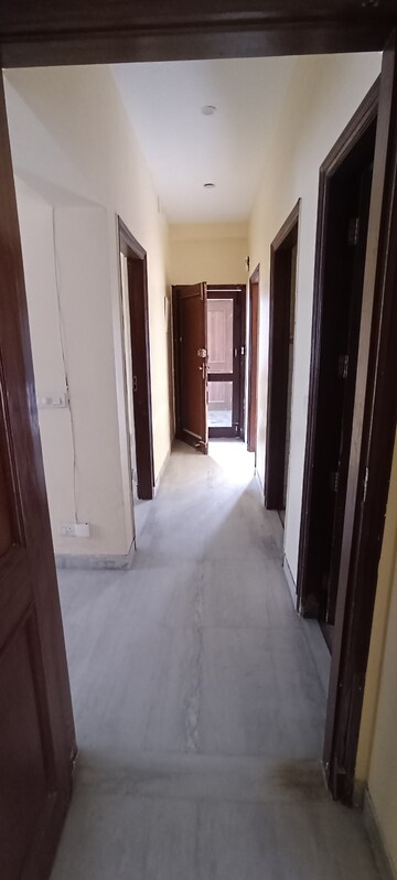 Building Lobby in 3 BHK Builder Floor at Unitech South City 1, South City 1 – for Rent