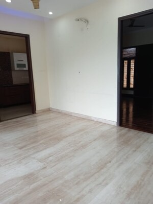3 BHK Builder Floor For Rent in SS Southend Floors, South City 2