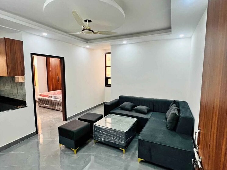 Living Room, palm-residency-chhatarpur 1 Bedroom 500 Sq.Ft. Apartment In Chattarpur Delhi 9460240