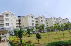 3 BHK Apartment For Rent in Sobha Dew Flower, Jp Nagar