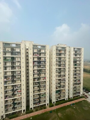 3 BHK Apartment For Sale in Advitya Plaza, Sector 143