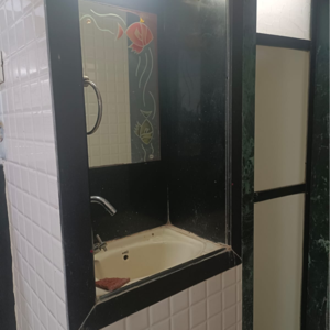 Attached Bathroom in 3 BHK Apartment at Sector 1 – for Rent