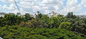 2 BHK Builder Floor – Garden View at Hsr Layout - for Rent