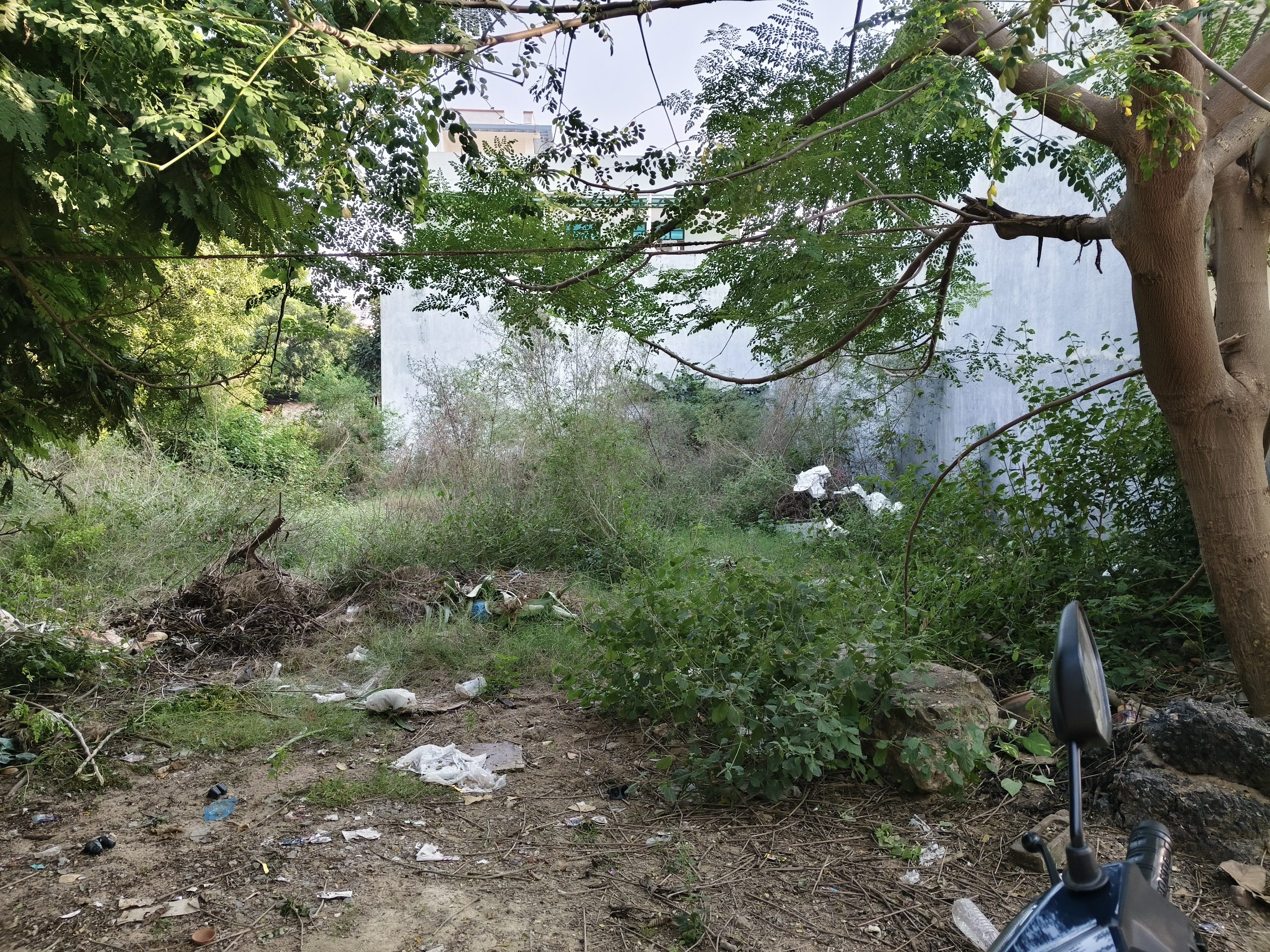 Plot For Sale in Omaxe City