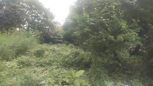  Land For Sale in Dream City Khalapur, Khalapur