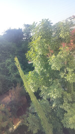 5 BHK Independent House – Garden View at Jubilee Hills - for Sale