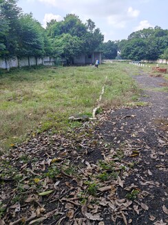 Plot For Sale in Gola Road