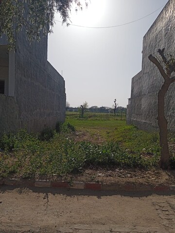 Plot Area in  Plot at Sector 110 – for Sale
