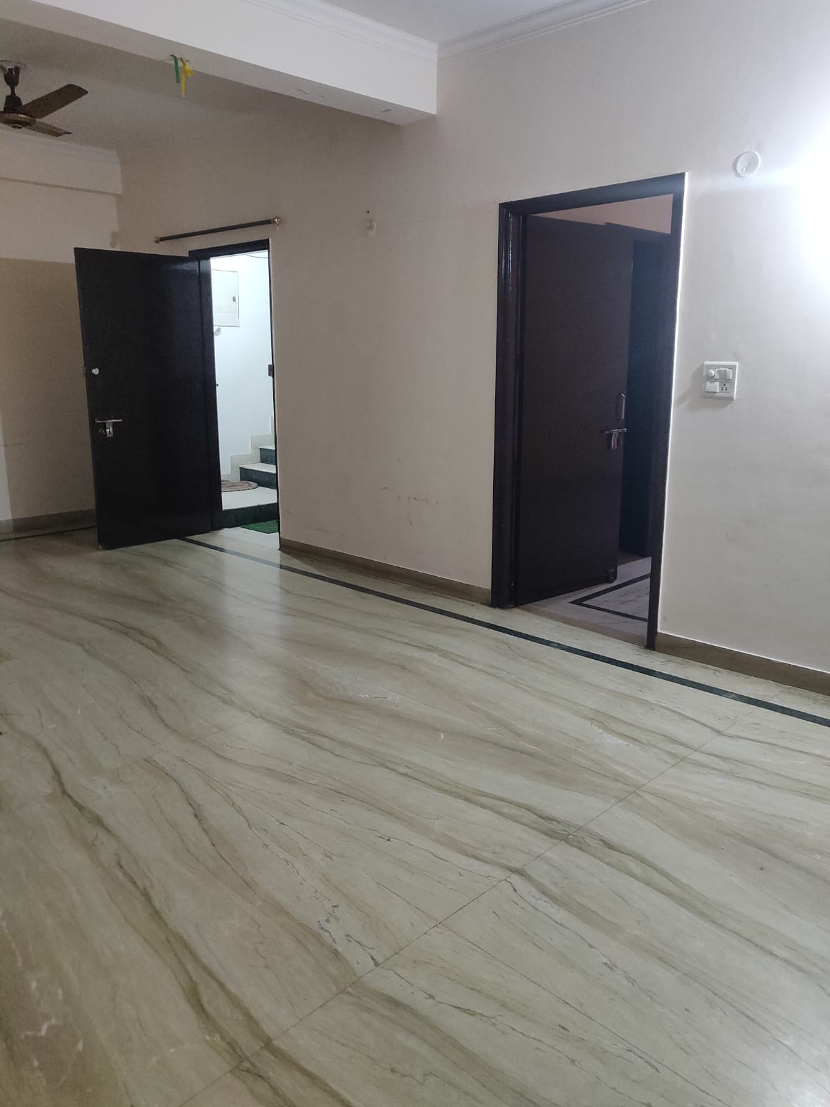 3 BHK Builder Floor For Rent in L Block 