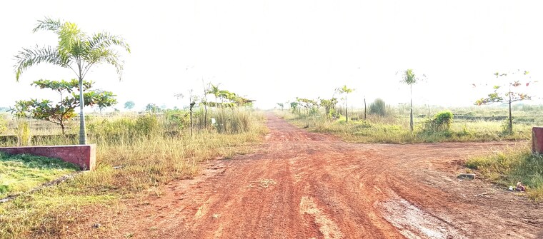 undefined, patrapada  1200 Sq.Ft. Plot In Patrapada Bhubaneswar 9461379