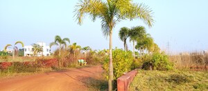  Plot – Garden View at Patrapada - for Sale
