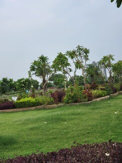 2.5 BHK + Study Room Apartment For Sale in Eureka Diya Green City