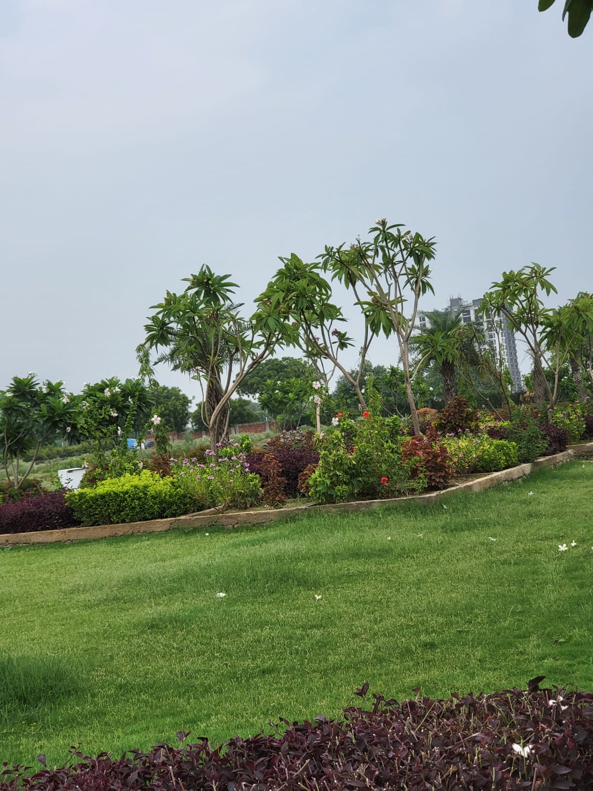 2.5 BHK + Study Room Apartment For Sale in Eureka Diya Green City