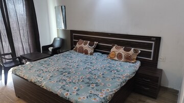 1 BHK Apartment For Rent in Paramount Golfforeste, Zeta I Greater Noida