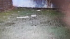  Plot For Sale in Amrutahalli