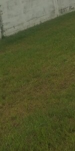 450 Sq.Yd. Plot in Akal Property Advisor 