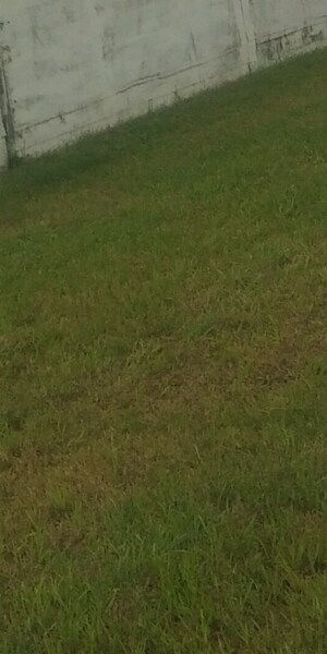  Plot For Sale in Shaheed Bhagat Singh Nagar