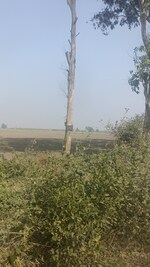 15 Acre Land in Owner 