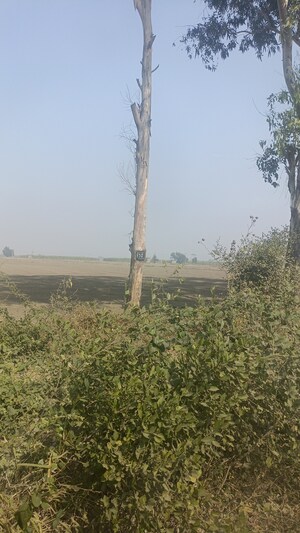  Land For Sale in Assandh