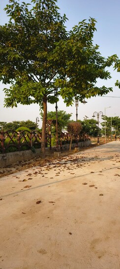 Plot For Sale in Sujanpur