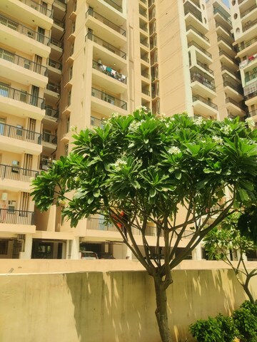 1 BHK Apartment – Exterior View View at Eureka Diya Green City, Raj Nagar Extension - for Rent