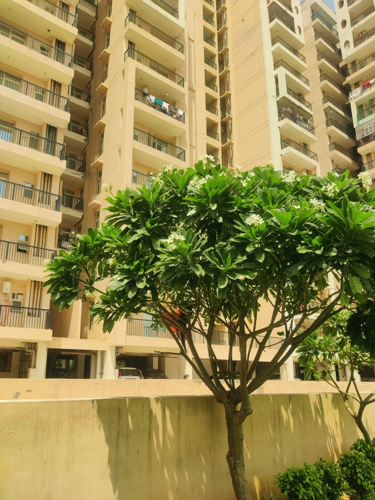 Exterior View, eureka-diya-green-city 1 Bedroom 684 Sq.Ft. Apartment In Raj Nagar Extension Ghaziabad 9461906