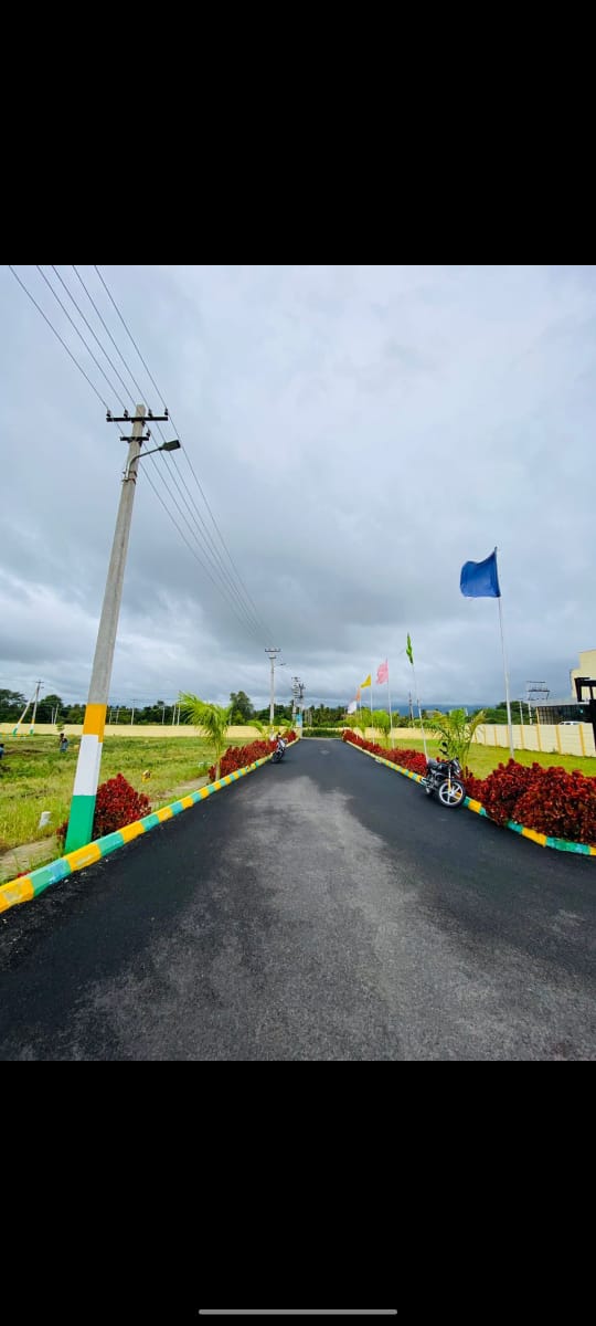 Plot For Sale in Aaa Plots 